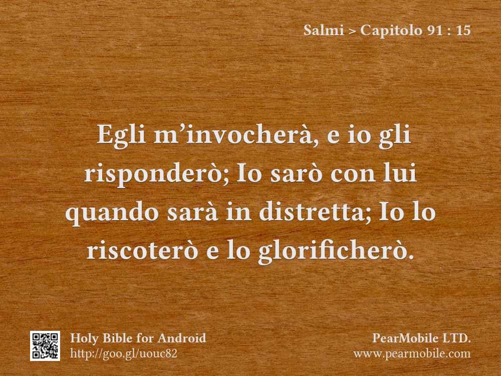 Salmi, Capitolo 91:15